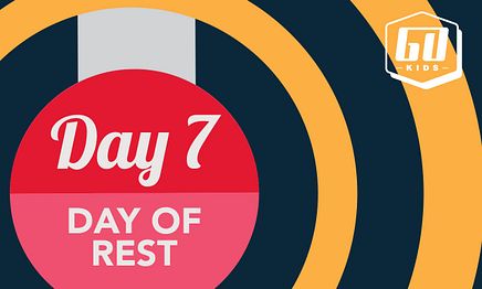 Day 7