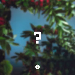 ?