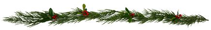 Photo 3 - Holly Garland