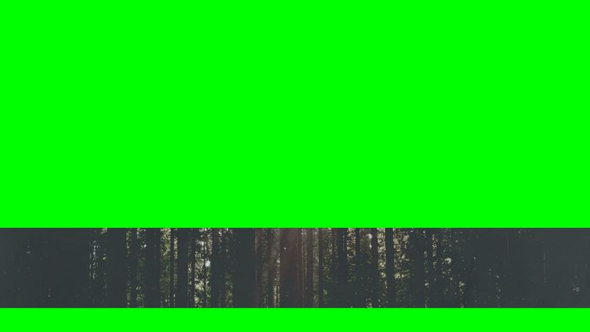 Green Screen