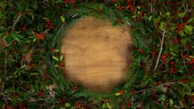 Photo - Christmas 2