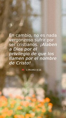 13 de febrero - Vertical