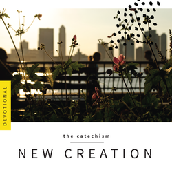 New Creation 