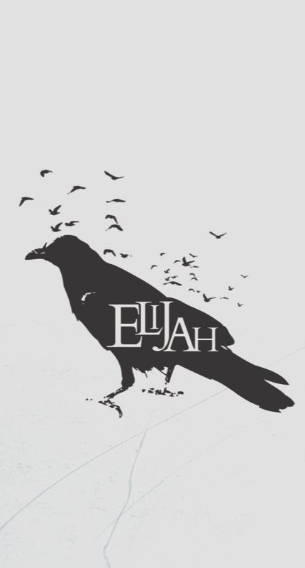 Banner 3
