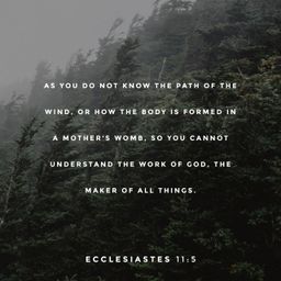 Ecclesiastes 11:5