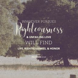 Proverbs 21:21