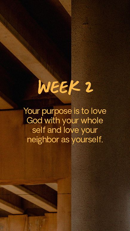 Social Recap Carousel 4