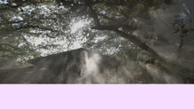Scenic Image