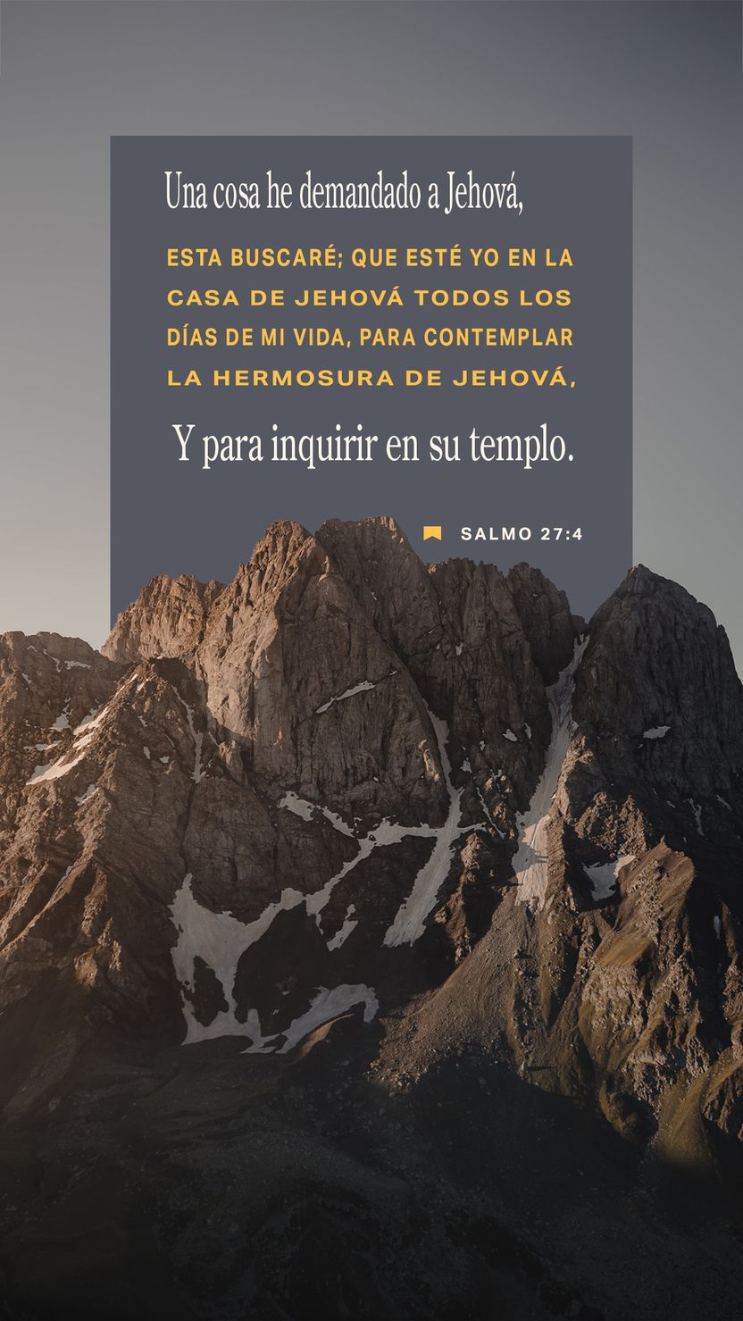 04 de enero - Vertical