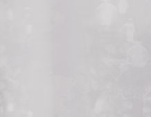 White Background 3 - 3375x2625
