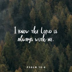 Psalm 16:8