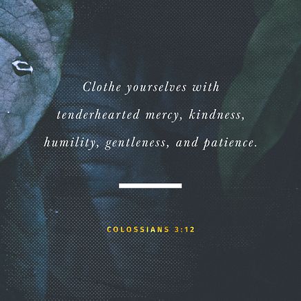 Colossians 3:12