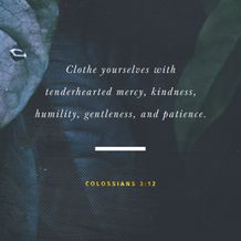 Colossians 3:12