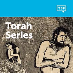 Torah Series