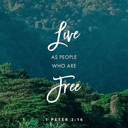 1 Peter 2:16