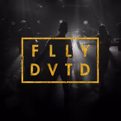 FLLY DVTD - Switch