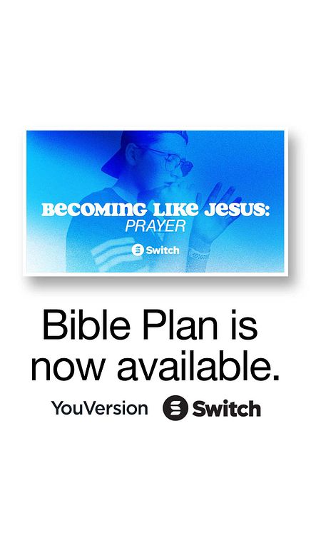 Bible Plan Weeks 2-6 Instagram Story