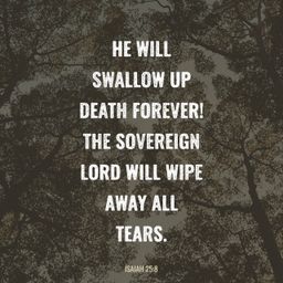 Isaiah 25:8