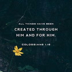 Colossians 1:16