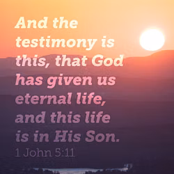 1 John 5:11