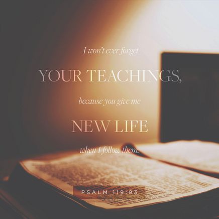 Psalm 119:93