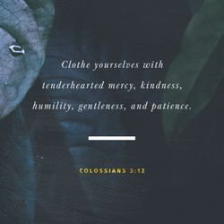 Colossians 3:12