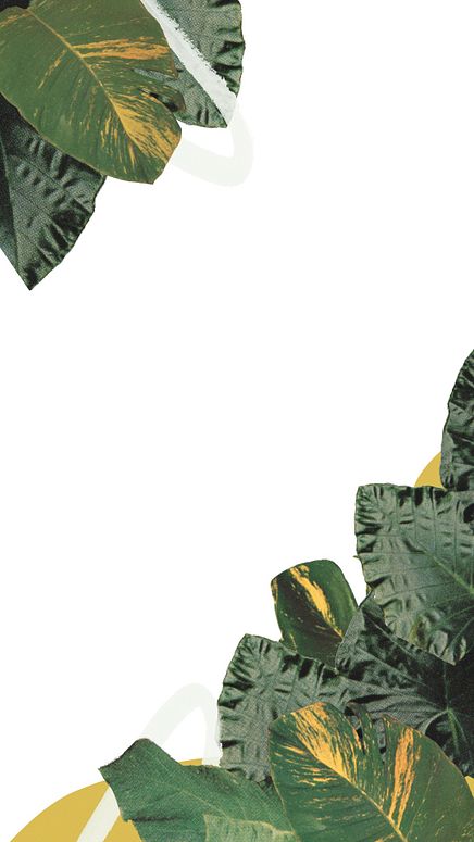 Overlay - 4