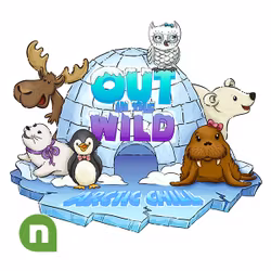 Out In The Wild - Arctic Chill - KidSpring