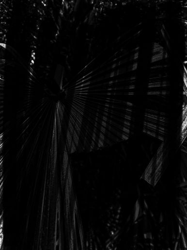 Dark Backgrounds