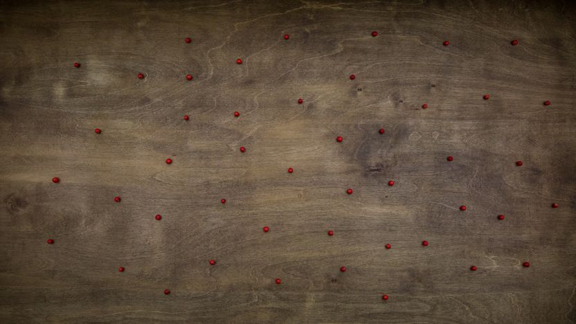 Photo 3 - Point Background