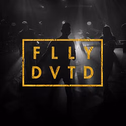 FLLY DVTD - Switch
