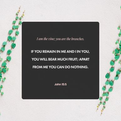 John 15:5