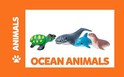 Ocean Animals
