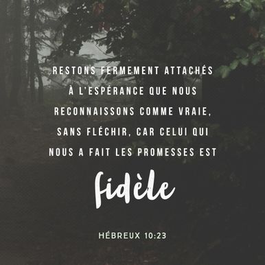 Hebrews 10:23
