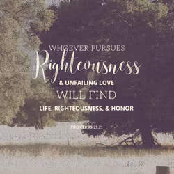Proverbs 21:21
