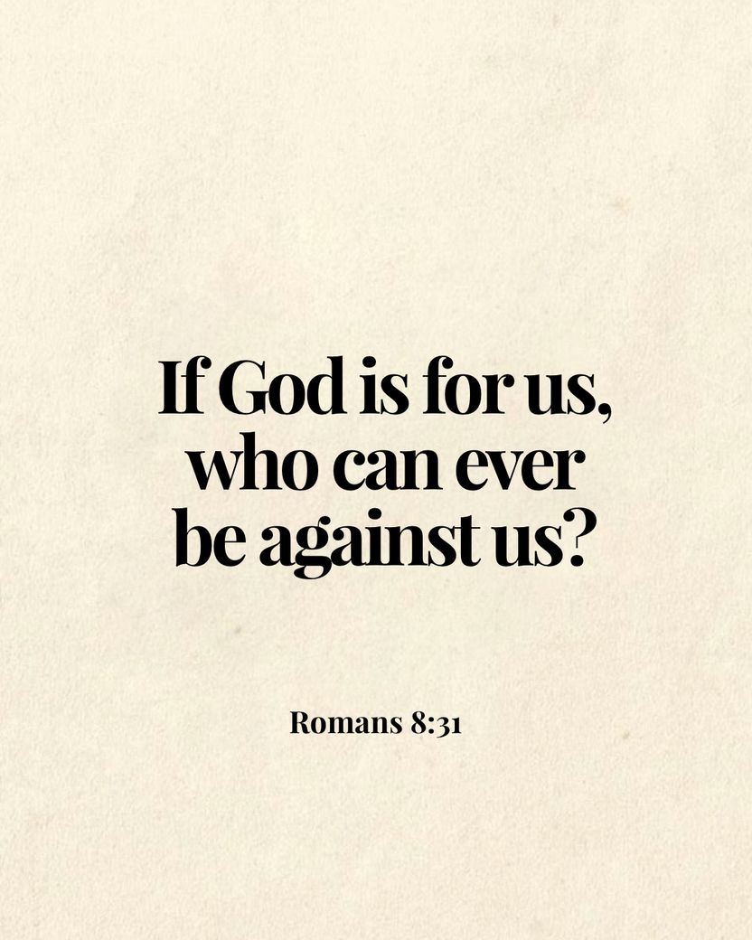 Image 04
