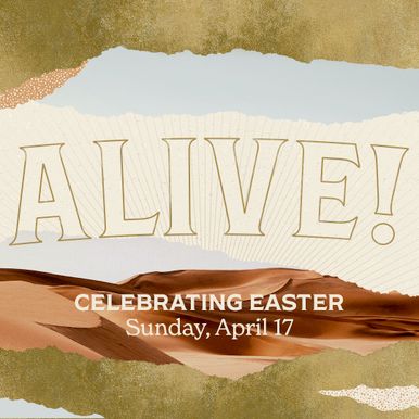 Alive! Instagram Square