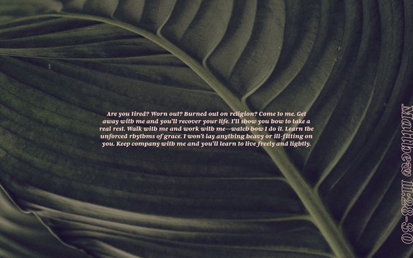 Desktop Wallpaper 5