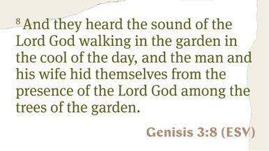 Magic Screen - Scripture