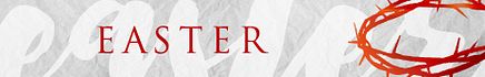 Church Online Platform - Large Theme