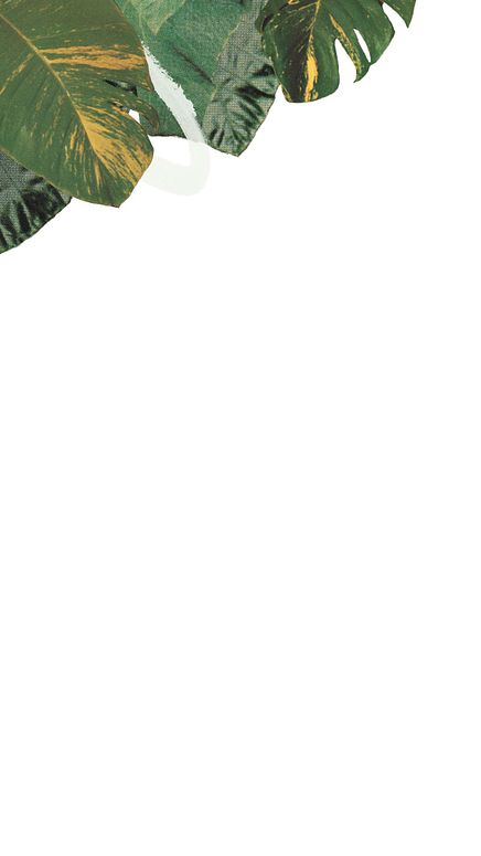 Overlay - 5