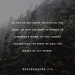 Ecclesiastes 11:5