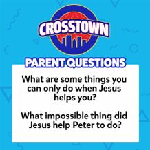 Parent Questions - Option 2