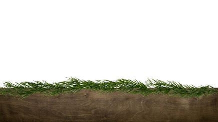 Photo 4 - Scripture Background
