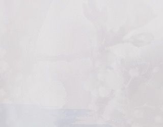 White Background 2 - 3375x2625