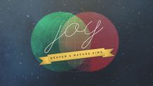 Joy - Main