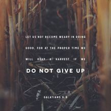 Galatians 6:9