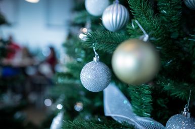 Ornament 3