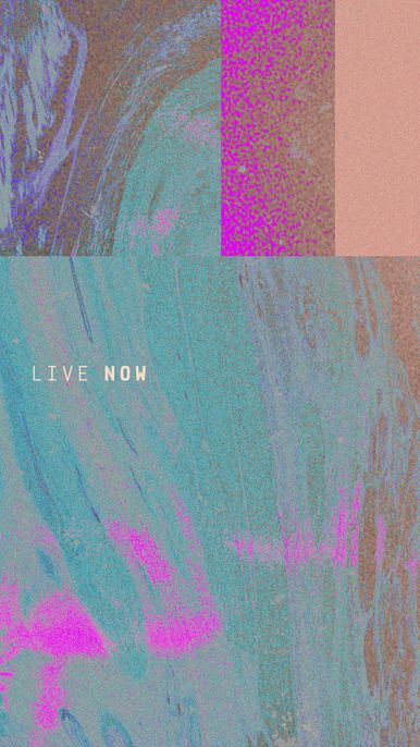 Live Now 6