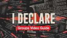Groups Video Guide